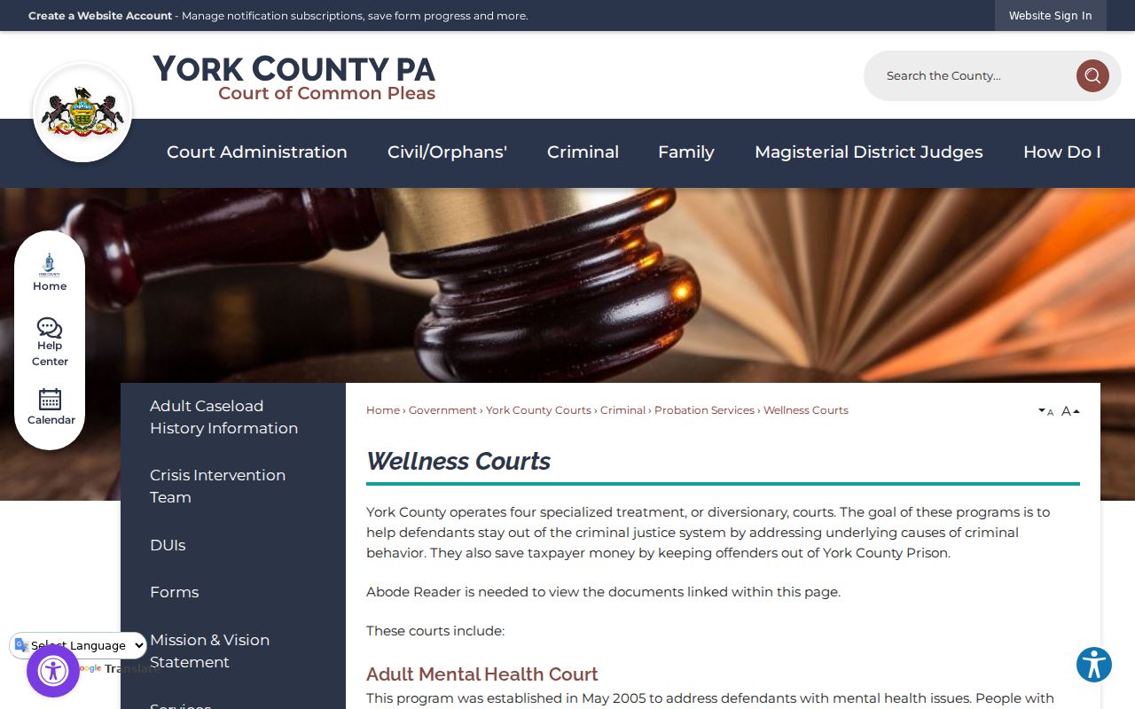 York County criminal court records and four Wellness Courts